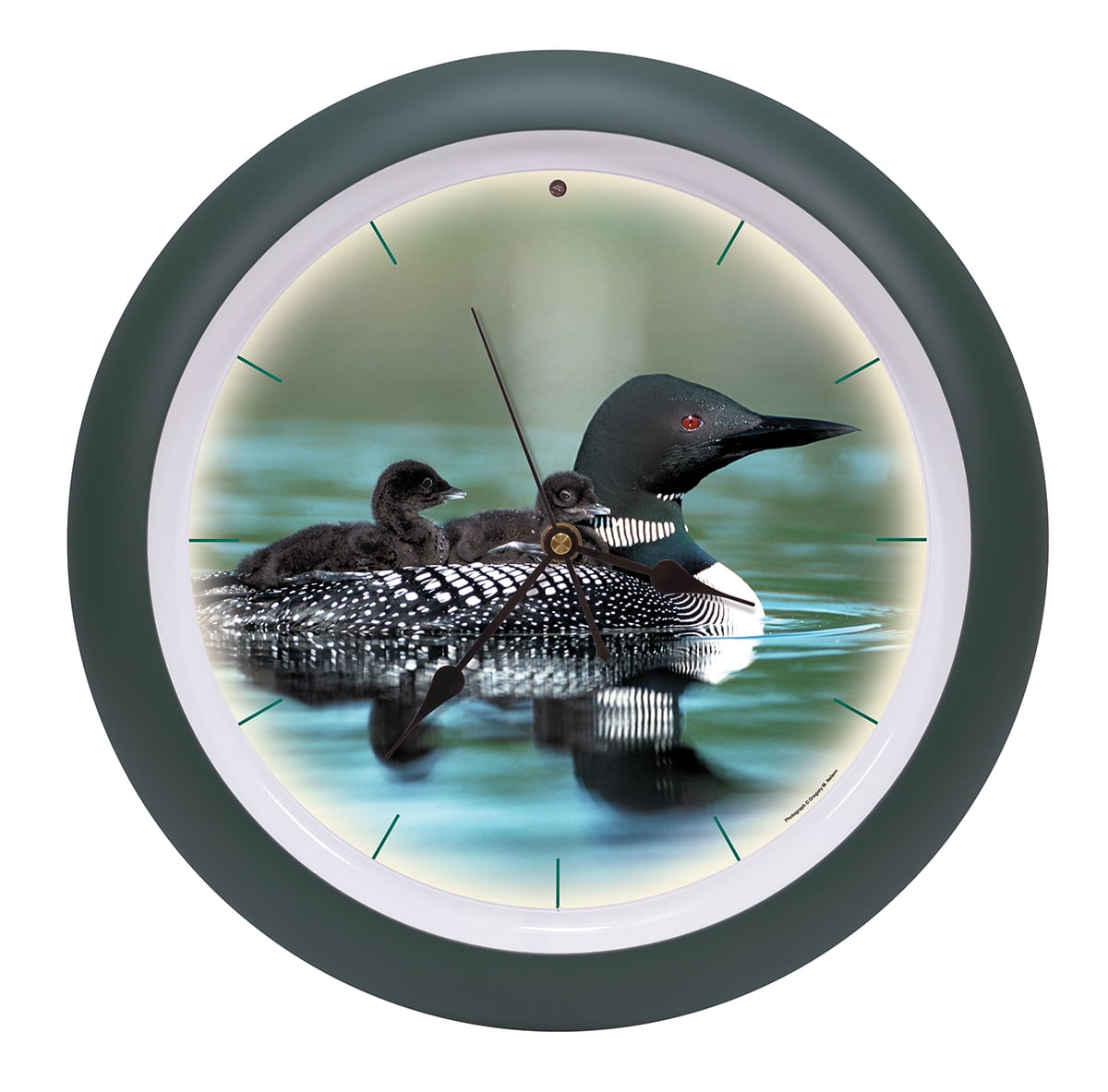 Call of the Loon Artwork Colorful Forest Green 13 inch Sound Wall Clock