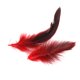 thumbnail image 4 of 100 Piezas 2 Colores s de Gallo Teñidas 12-18 Cm/4-7 Pulgadas para Boda Escenario Decoración Amarillo Rojo, 4 of 9