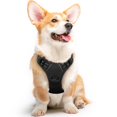 thumbnail image 1 of Chaleco Eagloo No Pull Service para perros de tamaño mediano, 1 of 9