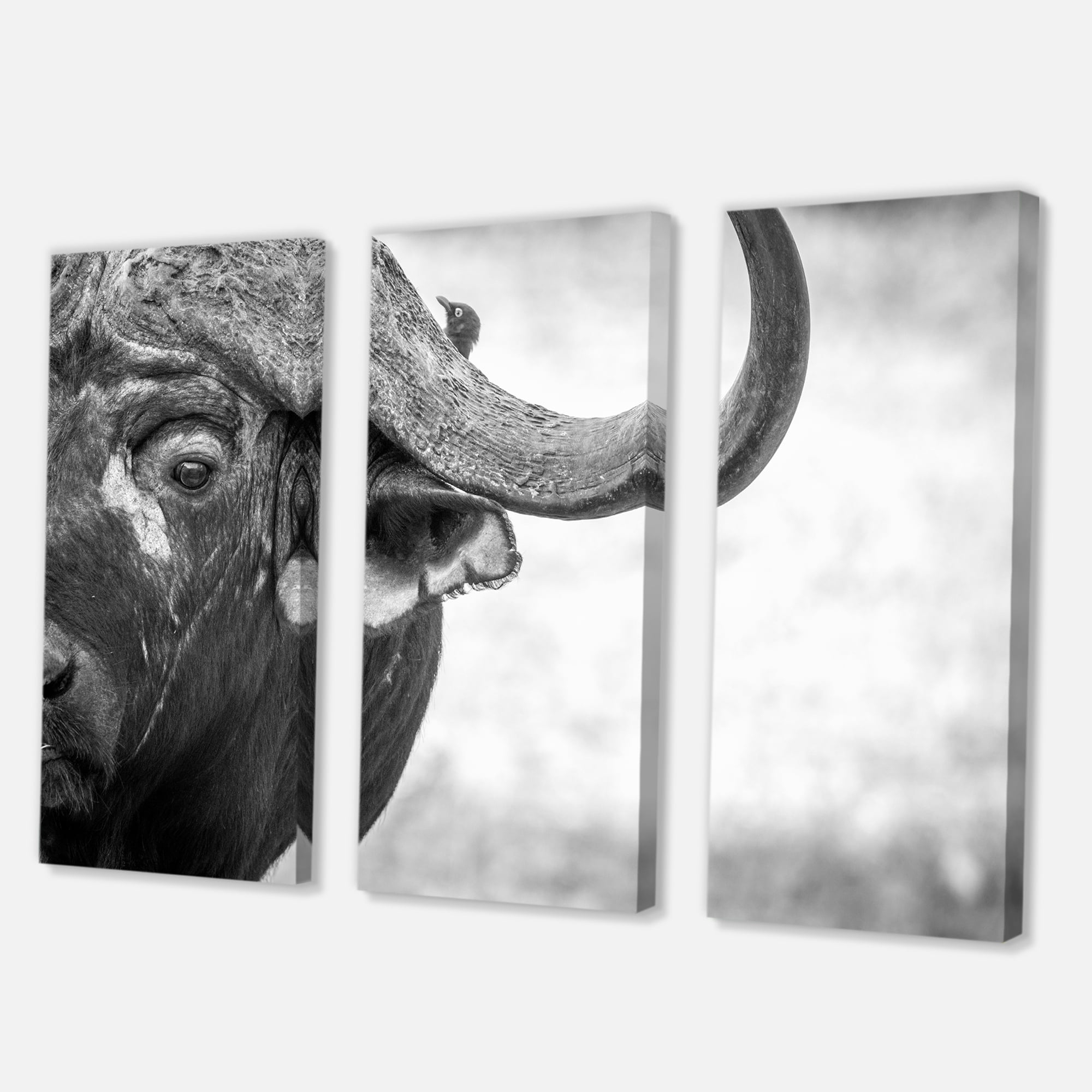 Designart ' Black and White Portrait Of Buffalo III ' Farmhouse Canvas Wall Art Print