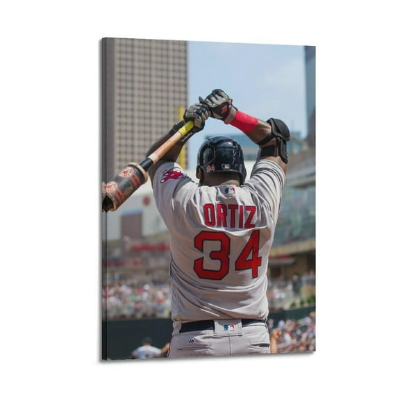 David Ortiz Baseball Professional Baseball Player Poster Poster Album Cover Posters for Bedroom Wall Art Canvas Posters Music Album Cover Poster