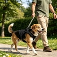 thumbnail image 6 of Anti-Pull Dog Harness Reflective Vest, Ongmies Adjustable Soft Oxford with Inner Mesh, Prevent Pulling Easy Control for Small Medium Large Dogs, 6 of 9