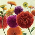 thumbnail image 2 of Novak, Shirley 15x15 White Modern Wood Framed Museum Art Print Titled - Pure Palette Zinnias, 2 of 4