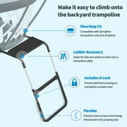 Springfree FlexrStep V2 Trampoline Ladder with Safety Lock, Silver/Black