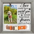 thumbnail image 2 of Dog Memorial Picture Frame 9x9inch with Photo Clip & Collar Holder, 2 of 9