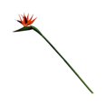 thumbnail image 3 of 1 flor artificial de ave del paraíso de plástico para decoración del hogar (naranja), 3 of 5