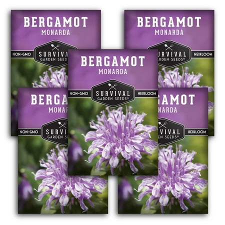 5 Packs Bergamot (Bee Balm) Seeds - Non-GMO Heirloom Full Sun Perennial Flower