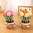 thumbnail image 4 of Handmade Crochet Flower Potted Hand-Woven Flowers, Birthday Gifts for Family Friends Women and Girlfriends, Mother'S Day Graduation Anniversary Home Decor, 4 of 8