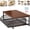 Standard-A, variant on Kitchen Countertop Organizer with Drawer & Wire Basket, 2-Tier Metal Pull-Out Storage Rack, Space-Saving Small Microwave Countertop for Coffee Maker/Seasoning Bottle/Kitchenware (Standard-B)