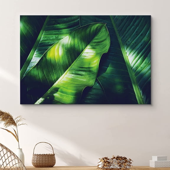 PixonSign Canvas Print Wall Art Banana Leaves in Sunlight Nature Wilderness Photography Realism Contemporary Closeup Relax/Calm Multicolor Ultra for Living Room, Bedroom, Office - 32x48