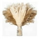 thumbnail image 1 of Plantas Artificiales Decorativas, Pampas Secas, 100 Unidades, 1 of 5
