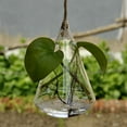 Visland Hanging Glass Terrarium Globes Decorations Air Plants Hanger