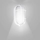thumbnail image 3 of Oval Bulkhead Lamp With Wire Guard And Glass Diffuser, 60 W(1pcs,white, 3 of 4