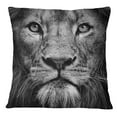 thumbnail image 1 of S4Sassy Lion Face Digital Print Decorative Black Square Cushion Cover Pillow Case -12 x 12 Inches, 1 of 4