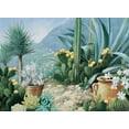 thumbnail image 2 of Motz, Peter 18x14 White Modern Wood Framed Museum Art Print Titled - Cactus, 2 of 4