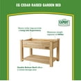 thumbnail image 4 of (2 pack) Expert Gardener Natural Wood Raised Garden Bed 4ft L x 2ft W x 31 in H for Outdoor Use, 4 of 11