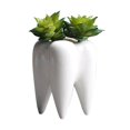 thumbnail image 1 of Dalazy Vase en Céramique Porte-Plume Décoratif Vase à Fleurs Pot Succulent Jardinière Florale, 1 of 9