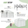 thumbnail image 6 of EAGLE PEAK 10'x 10' Portable Walk-in Greenhouse Instant Pop-up Easy Setup Indoor Outdoor Plant Gardening Green House Canopy, Front and Rear Roll-Up Zipper Entry Doors and 2 Large Roll-Up Side Windows, 6 of 8