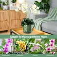 thumbnail image 5 of BUYMAX 7 inch Green Ceramic Orchid Pot with Drainage Holes and Tray – Large Indoor/Outdoor Planter for Repotting, New Plants & Orchid Care, 5 of 6