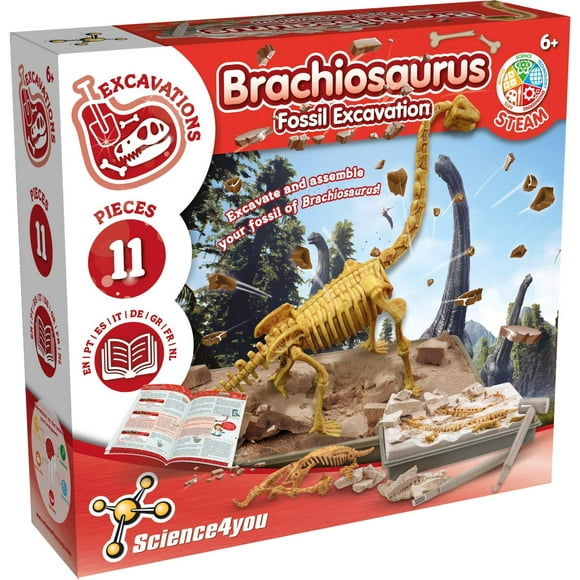 Science4You Kit de excavación de fósiles de Brachiosaurus para niños: excava y ensambla 11 piezas de kit de excavación de fósiles de dinosaurios dinosaurios para juegos infantiles, juguetes de dinosa