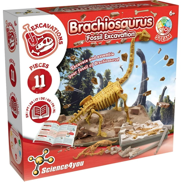 Science4You Kit de excavación de fósiles de Brachiosaurus para niños: excava y ensambla 11 piezas de kit de excavación de fósiles de dinosaurios dinosaurios para juegos infantiles, juguetes de dinosa