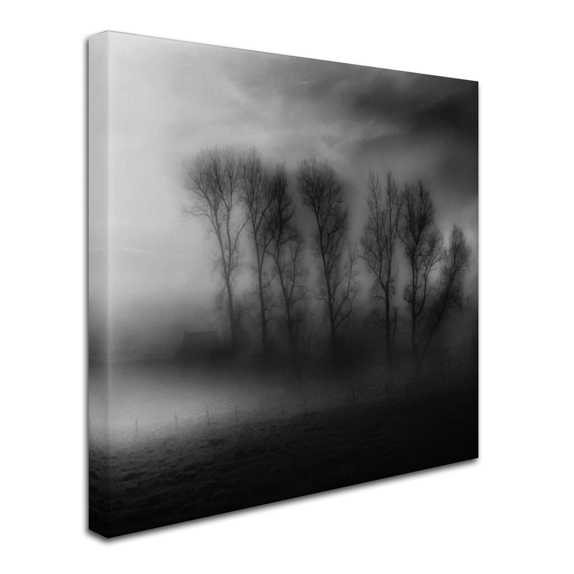 Trademark Fine Art '50 Shades Of Fog' Canvas Art by Yvette Depaepe