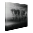 thumbnail image 2 of Trademark Fine Art '50 Shades Of Fog' Canvas Art by Yvette Depaepe, 2 of 3