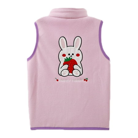 

TOWED22 Baby Jackets 12-18 Months Toddler Baby Girl Boy Hooded Jacket Vest Warm Jacket Outwear Hoodie Sleeveless Waistcoat with Zipper Pocket Pink