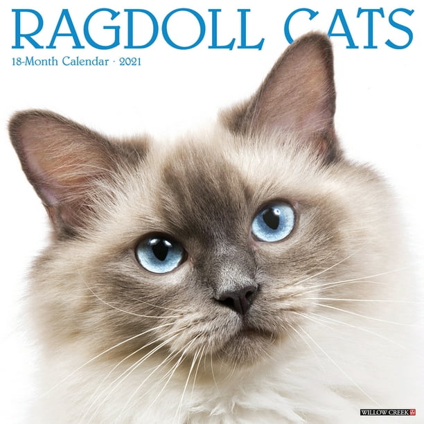 Ragdoll Cats 2021 Wall Calendar (Other) - Walmart.com - Walmart.com