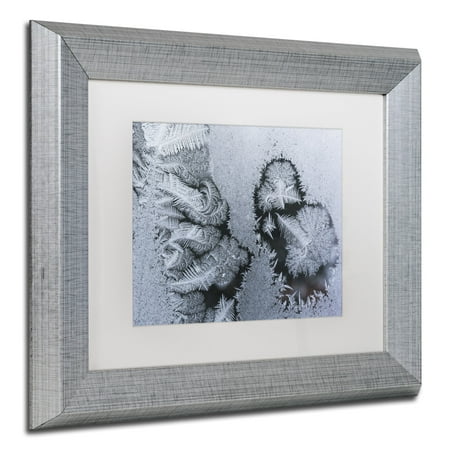 - Trademark Fine Art 'Window Frost Pattern 4' Canvas Art by Kurt Shaffer White Matte, Silver Frame