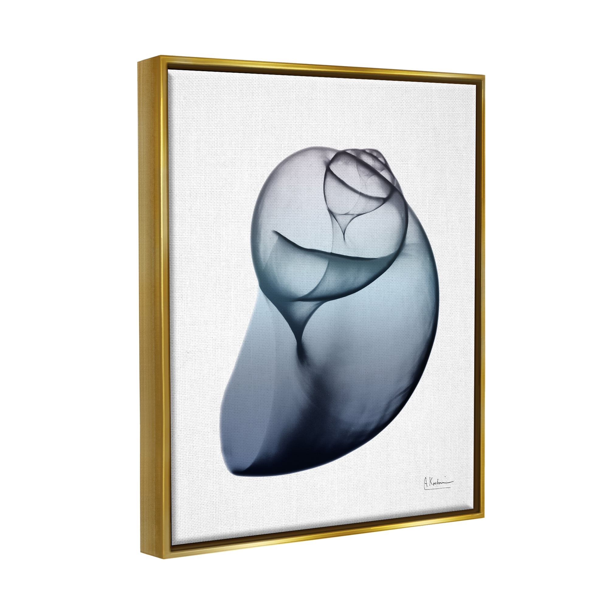 Stupell Industries Contemporary Snail Shell Abstract Photography Gold Floater Framed Art Print Wall Art, 17 x 21
