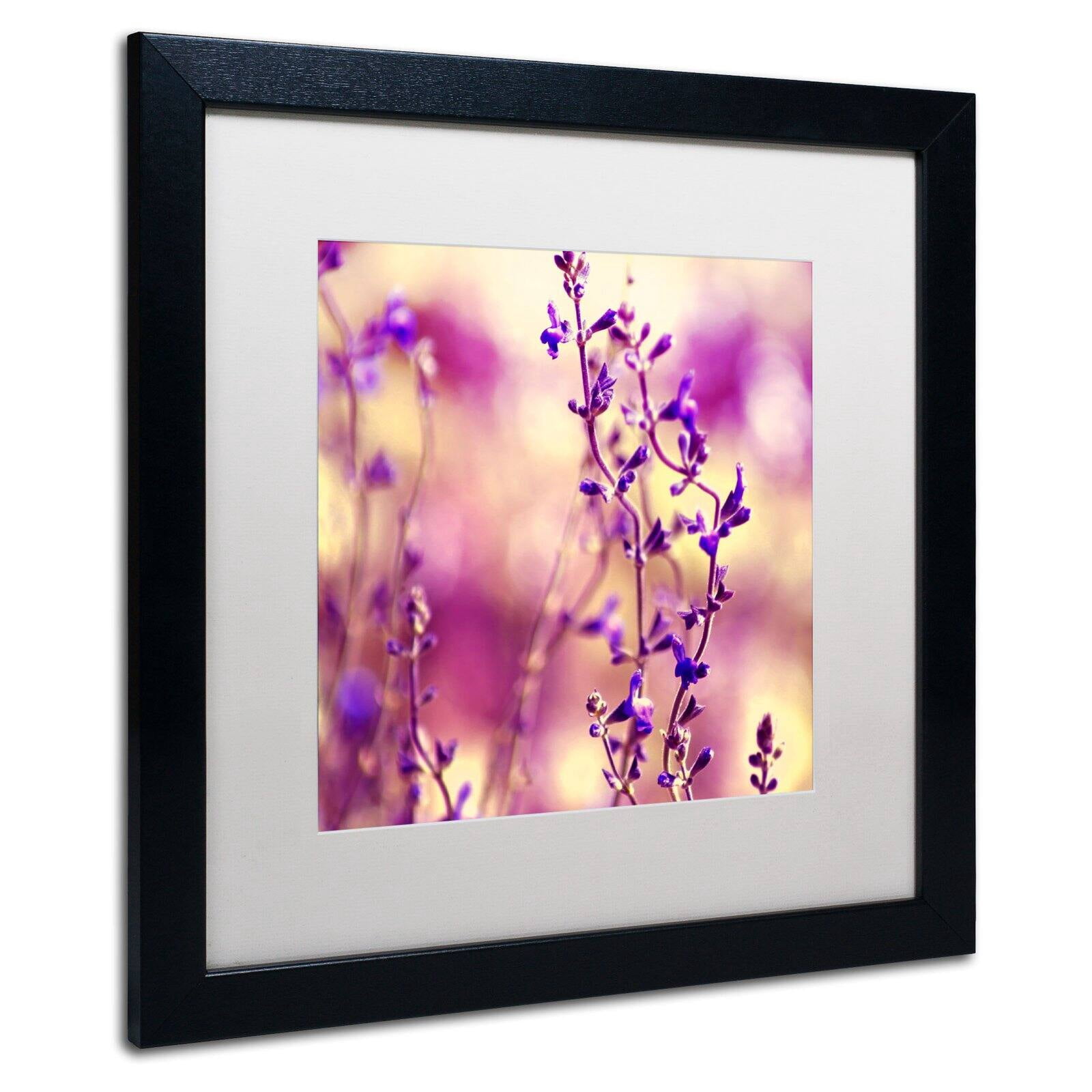 Trademark Fine Art "Summer Melodies" Canvas Art by Beata Czyzowska Young White Matte, Black Frame