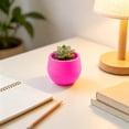 thumbnail image 5 of Round Mini Plastic Succulent Planter Pot, Colorful Small Desktop Flower Container, Lightweight Nursery Plant Pot For Cactus, Herb, Bonsai, Ideal For Home, Office, Balcony And Indoor Desktop Decor, 5 of 6