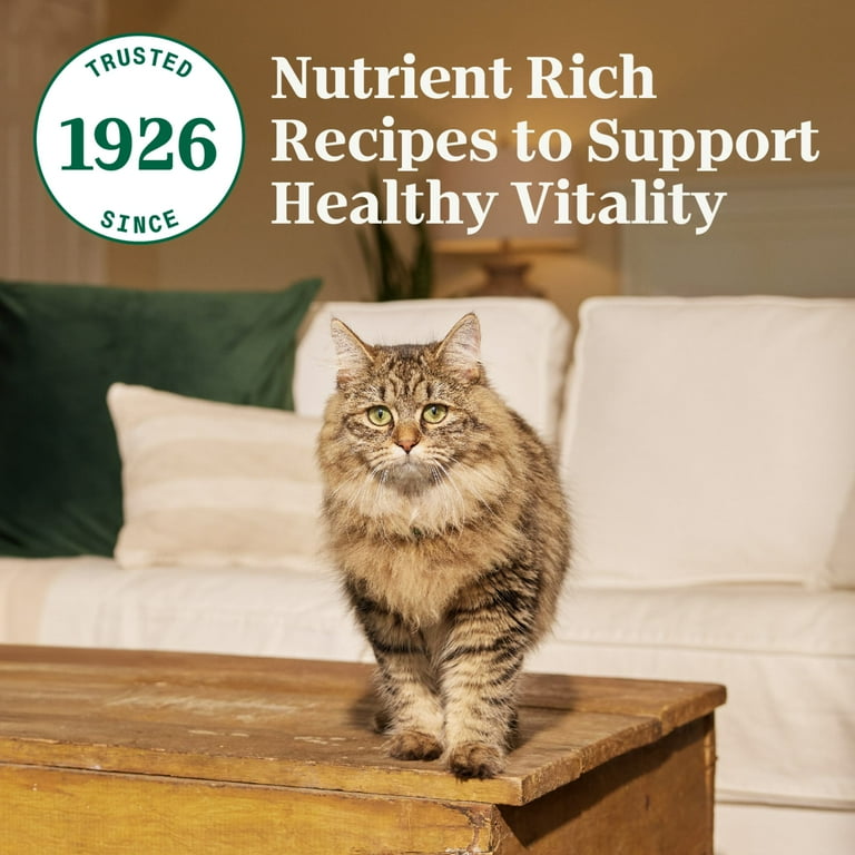 Nutro Wholesome Essentials Natural Dry Cat Food, Real Chicken