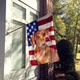 thumbnail image 2 of Carolines Treasures BB9707CHF Red Dachshund Patriotic Flag Canvas House Size  Large multicolor, 2 of 4