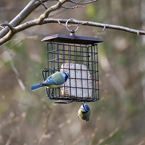 Suet Feeder Suet Bird Feeders for Outside Hanging,Squirrel Proof Suet Cakes Bird Feeder for Wild Birds,Metal Brown(Pack of 2)