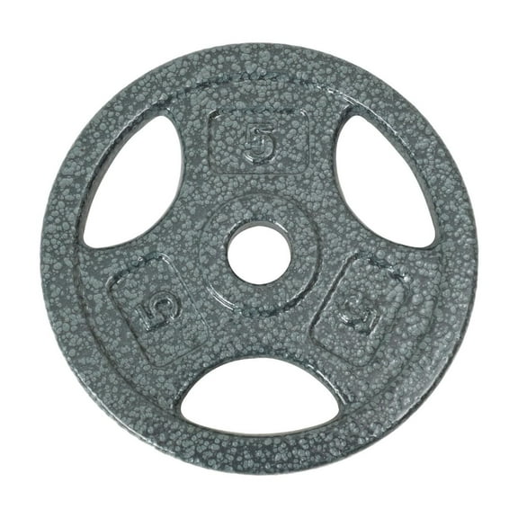 Disque de musculation avec prises GoZone – Argent