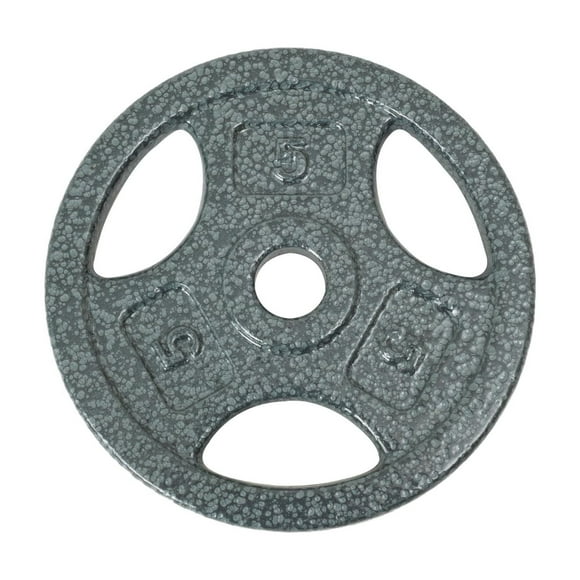 Disque de musculation avec prises GoZone – Argent