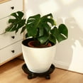 thumbnail image 2 of 5 Packs Large Plant Caddy with PU Wheels 12" Rolling Plant Stands Heavy-duty Plastic Plant Roller Base Pot Movers Plant Saucers on Wheels Indoor Outdoor Plant Dolly with Casters Planter Tray Coaster, 2 of 15