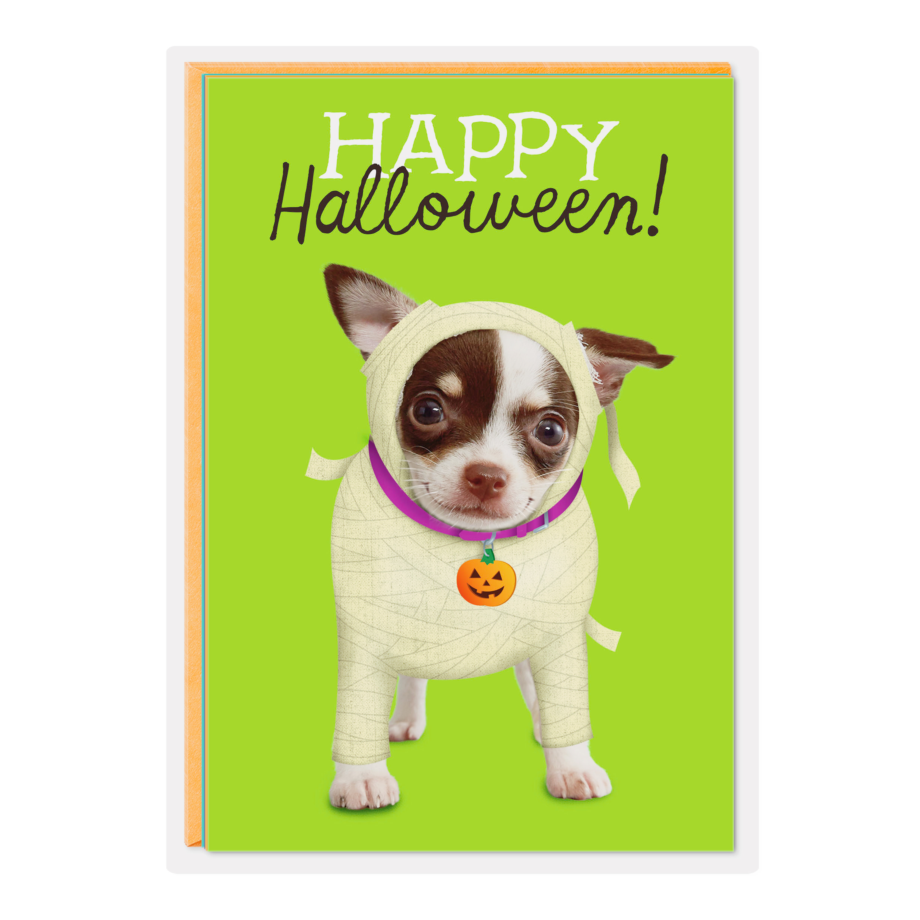Hallmark Assorted Halloween Cards (Pets in Costume), 8 Count