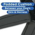 thumbnail image 5 of Pawtitas Padded Reflective Dog Harness Medium Adjustable Black Dog Harness, 5 of 9