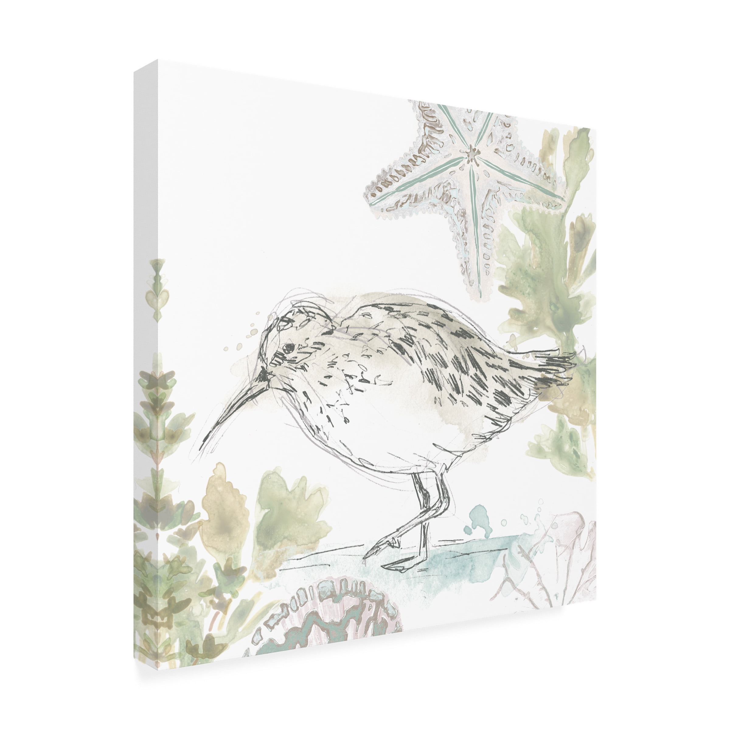 June Erica Vess 'Seaside Sandpipers II' Canvas Art