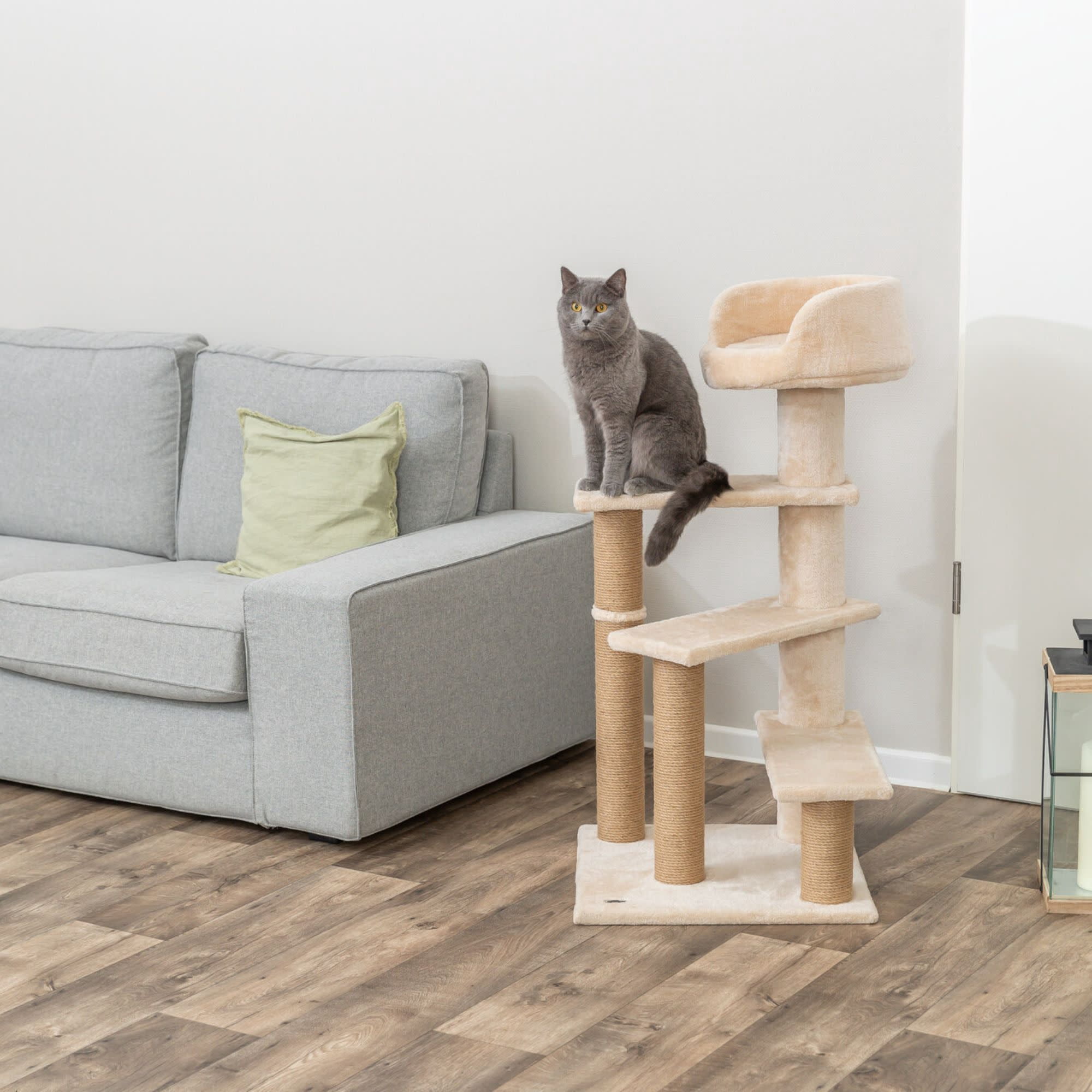 TRIXIE Tulia Senior Plush & Sisal 4-Level 40.2" Cat Tree, Scratching Posts & Bed, Beige