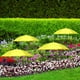thumbnail image 3 of Sombrilla Ajustable para Plantas En Maceta de Exterior - Protección Solar de 50 Cm con Poste Telescópico para Jardineras y Parterres, 3 of 6