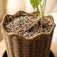 thumbnail image 3 of 8.6'' Woven Rattan Planter Basket with Saucer, Rustic Braided Wicker Planter with Scalloped Edge, Decorative Plant Pot Cover for Indoor Monstera, Pothos & House Plants, 3 of 6