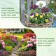 thumbnail image 5 of Uxcell 4 Paquete de Grandes Estacas Decorativas de Jardín, Estacas de Jardín de Metal Impermeables de 13 Pulgadas Decorativas para Interiores/Exteriores [Púrpura], 5 of 7