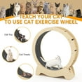 thumbnail image 4 of LinkRomat Cat Exercise Wheel Indoor Treadmill, Quiet Large Cat Running Wheel for All Size Cats (35.5"/39.4"/43.3"), 4 of 8
