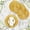 Gold, variant on 100Pcs Silver Charger Plates Bulk Round Plastic Dinner Charger Serving Plates for Wedding Chargers Plate for Tabletop Decor Christmas,13in