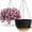 Black With Brown, variant on 13 Inch 2 Pack Large Self Watering Hanging Planters for Indoor Outdoor Plants, Hanging Plant Pots with Removable 50 Oz Reservoir, Plastic Hanging Basket for Window Porch Garden, White