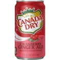 thumbnail image 4 of Canada Dry Cranberry Ginger Ale Soda Mini Cans, 7.5 Fluid Ounce (Pack of 30), 4 of 5